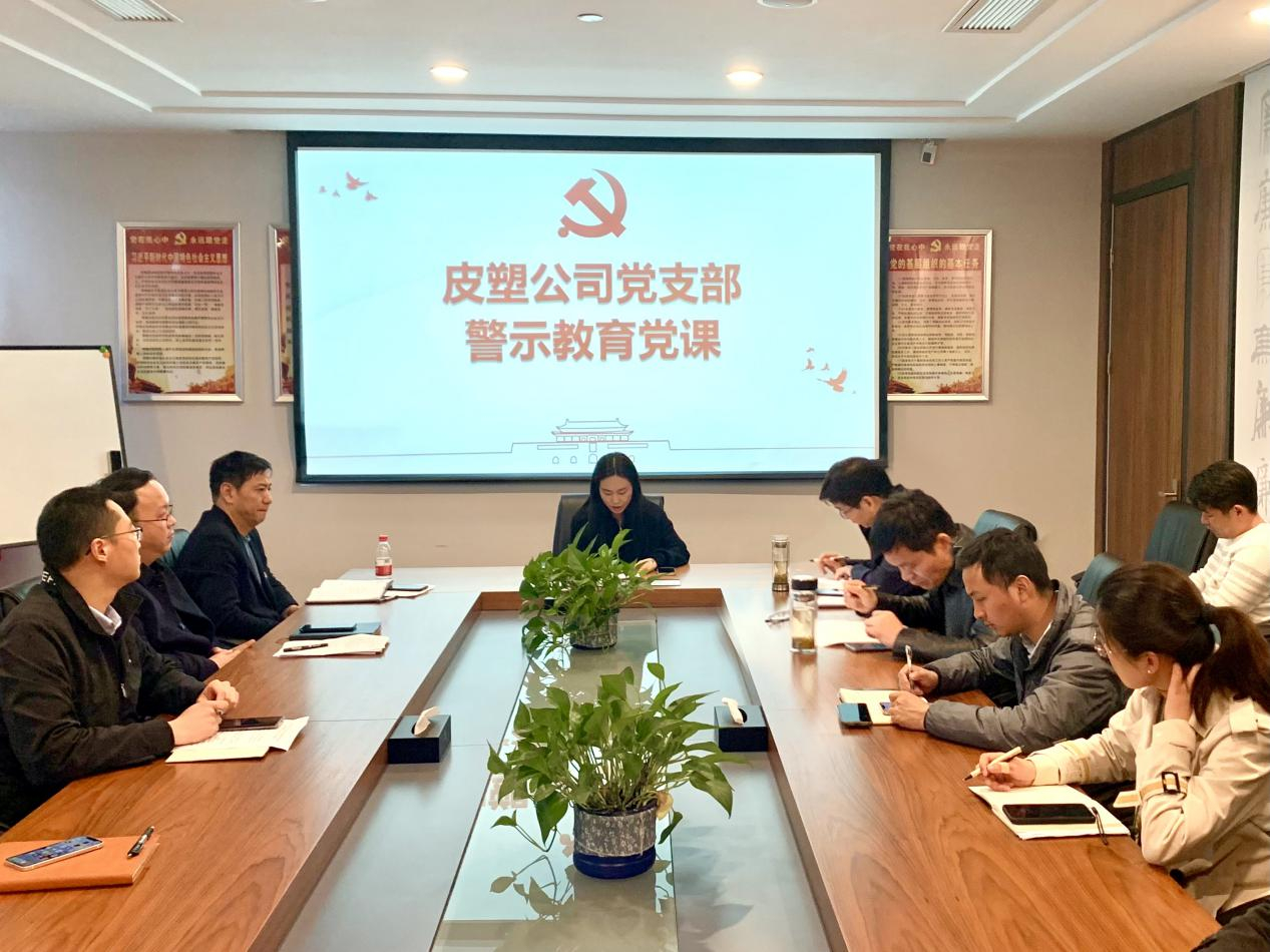 1681696262737031.png 皮塑 (1).png