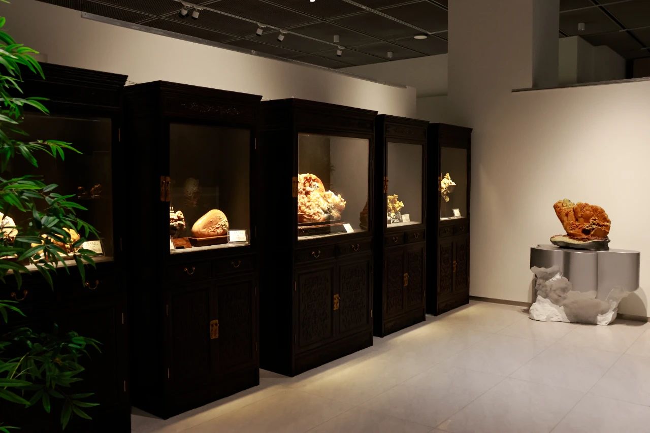 1735872449137083.jpg 微信圖片_20250103104653.jpg